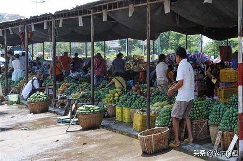 贩卖吃瓜视频牟利判几年,法律惩处与道德反思