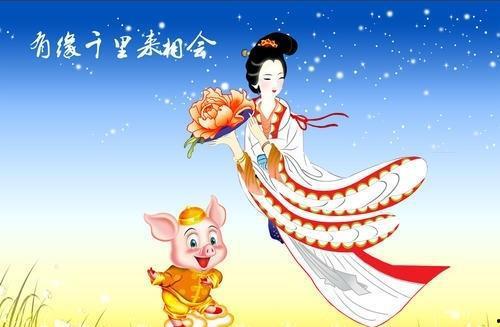 有缘千里来相会吃瓜视频,一场别开生面的“有缘千里来相会”吃瓜盛宴