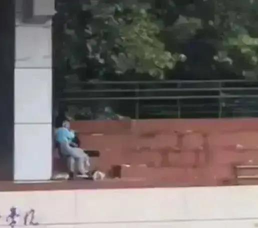 浙江校园吃瓜事件视频最新,视频揭露惊人真相，校园生活再掀波澜