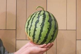 西昌万科17度吃瓜视频,一场夏日里的欢乐盛宴