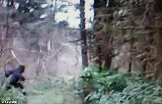 马路边吃野瓜视频大全下载,视频大全下载攻略