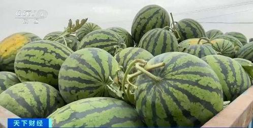 吃瓜视频多少钱合适,多少才算合理？