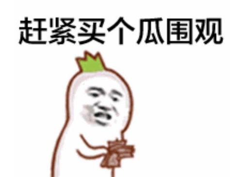 吃瓜表情包新闻视频下载,揭秘幕后制作与传播过程