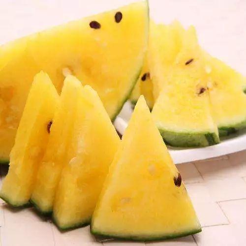 白露瓜怎么吃最好吃呢视频,白露瓜美味食法大揭秘