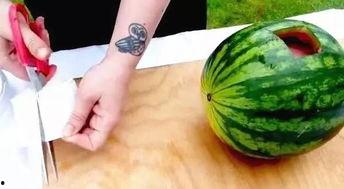 河北文安吃瓜视频,一场网络热议的乡村奇观