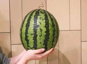 广州吃瓜视频大全,吃瓜视频大全带你领略地道风味