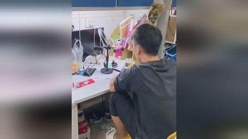 吃瓜被人打一棍视频,网络暴力事件引发社会关注