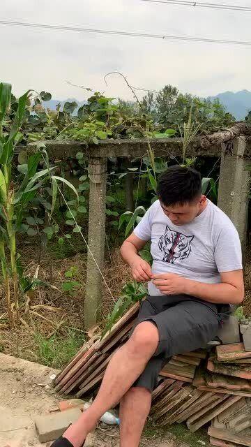 偷瓜吃的下场视频,视频曝光警示世人