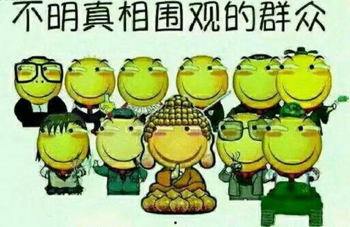 吃瓜群众日照视频