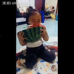 寡妇偷西瓜吃瓜视频,心疼又好笑