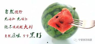 宁晋吃瓜事件视频最新版